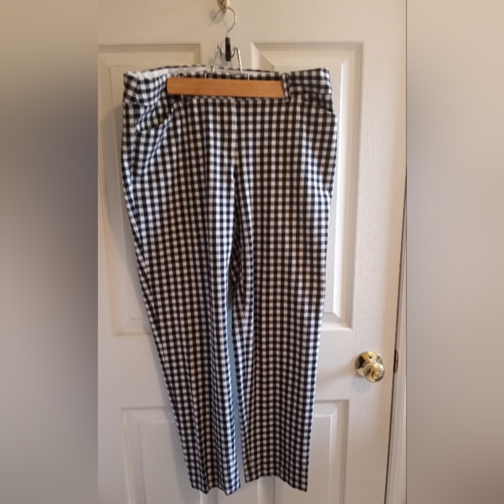 Talbots Dress Pant